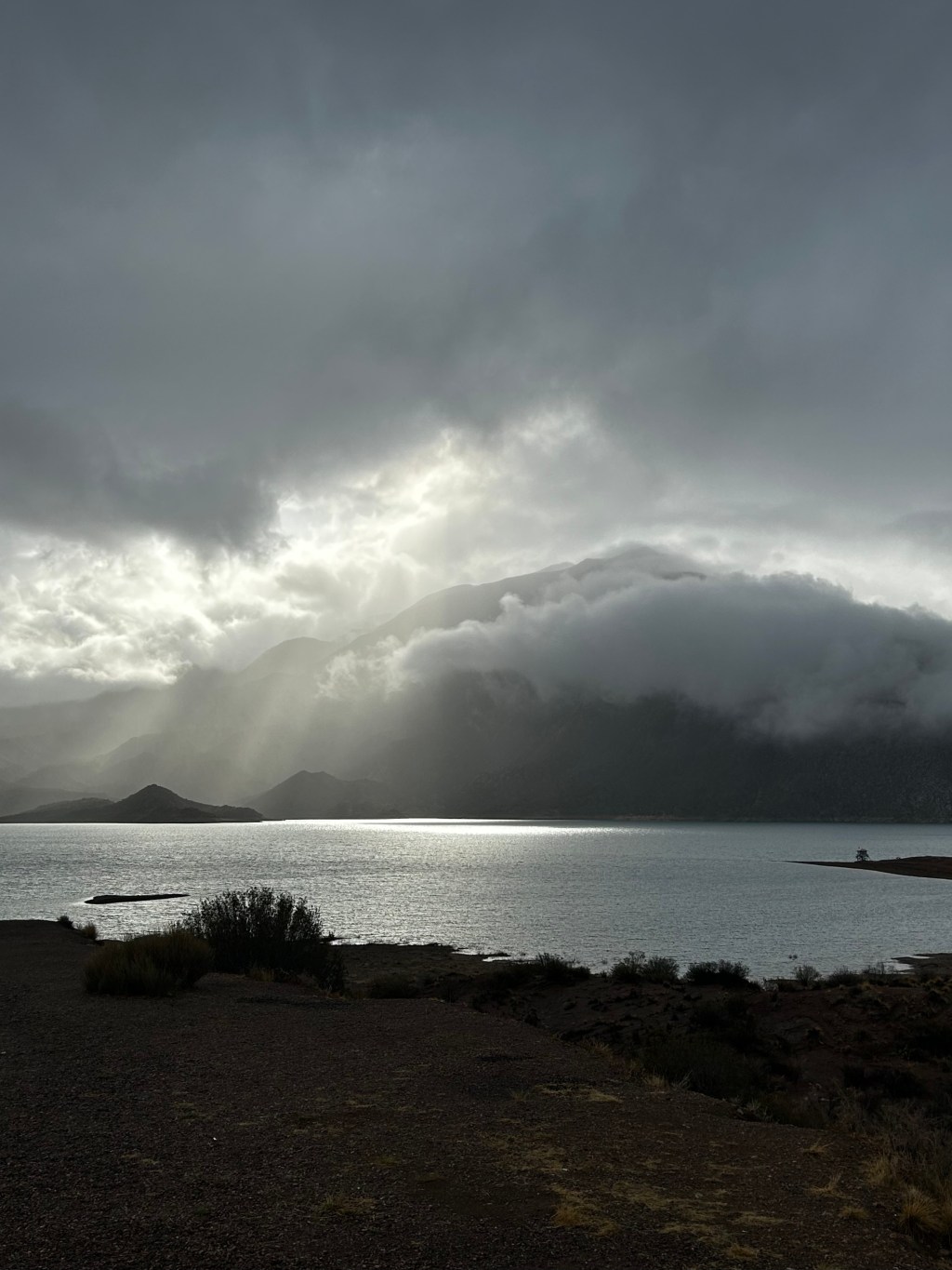 Fotos sacadas a las corridas.